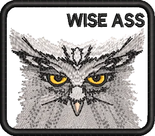gorin-bros-wise-ass-patch-6af0ce21e8fe4b254518f6831d8cd42b